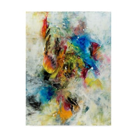 Trademark Fine Art Aleta Pippin 'Follow Your Dreams' Canvas Art, 14x19 ALI37755-C1419GG